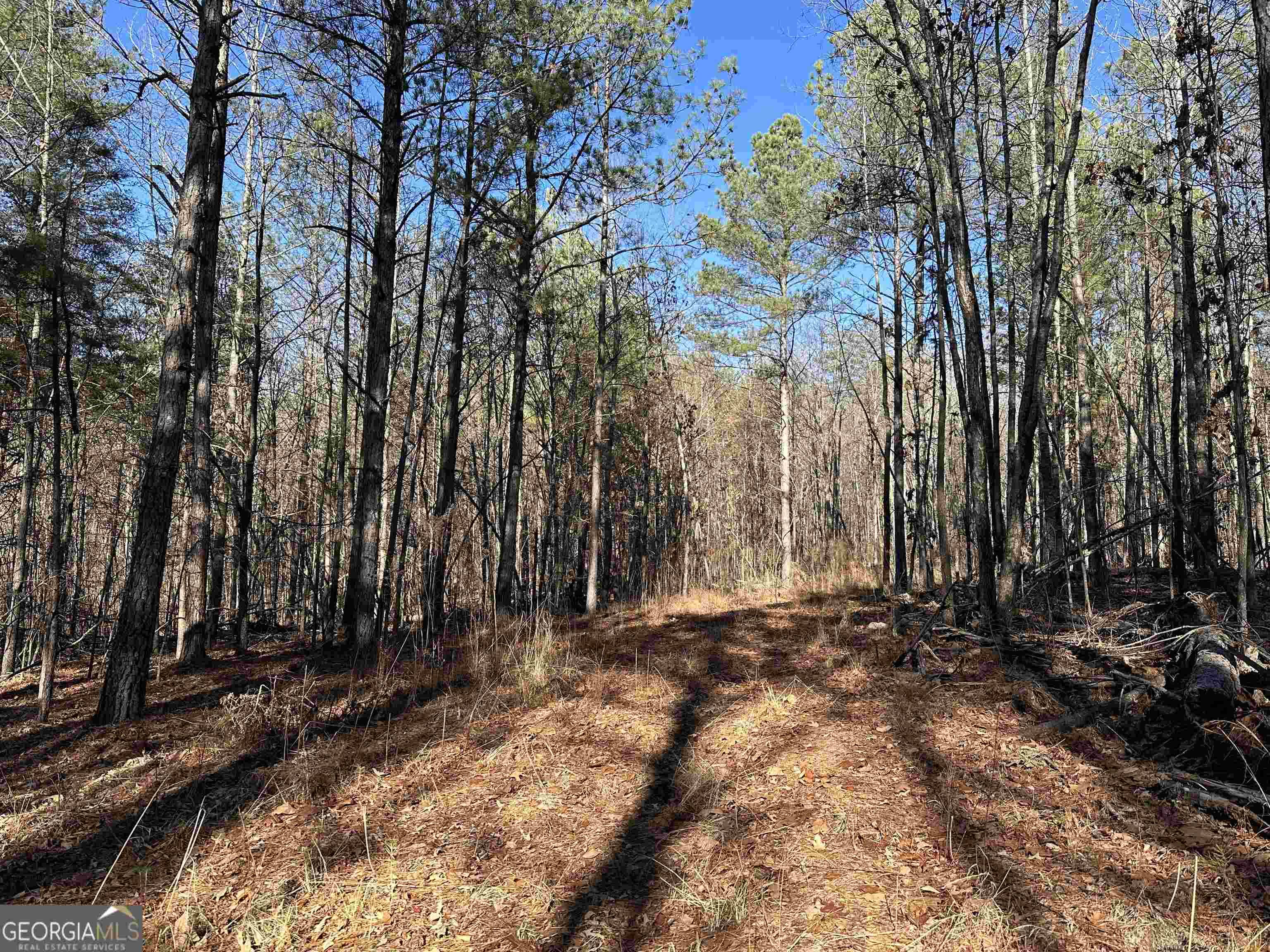 Tallapoosa, GA 30176,0 Budapest RD