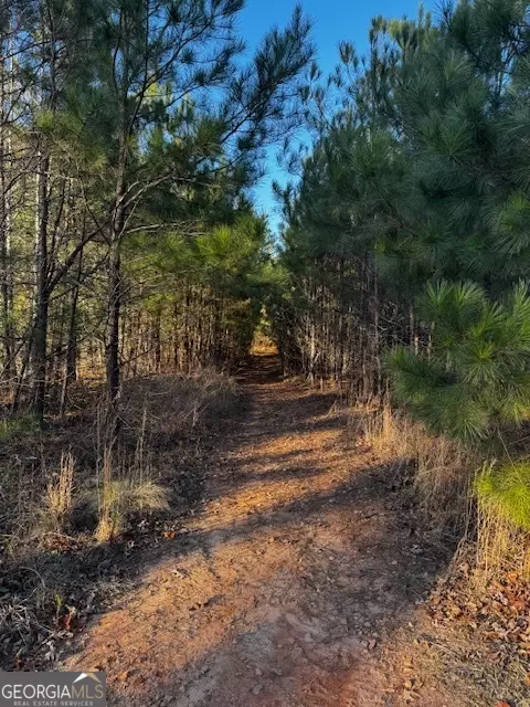 Jackson, GA 30233,28.59 ACRES in Henry County