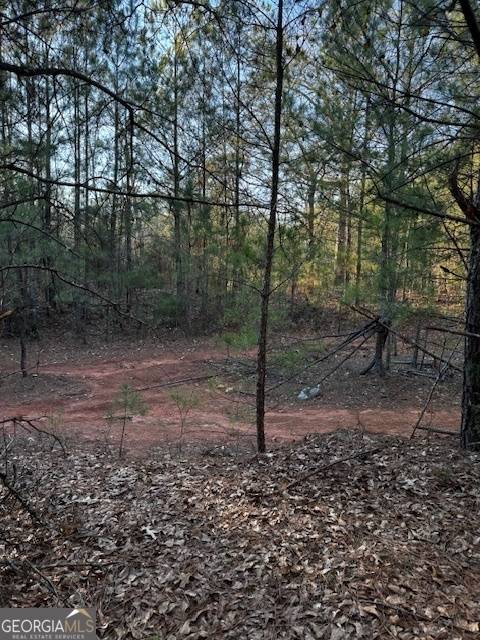 Jackson, GA 30233,28.59 ACRES in Henry County