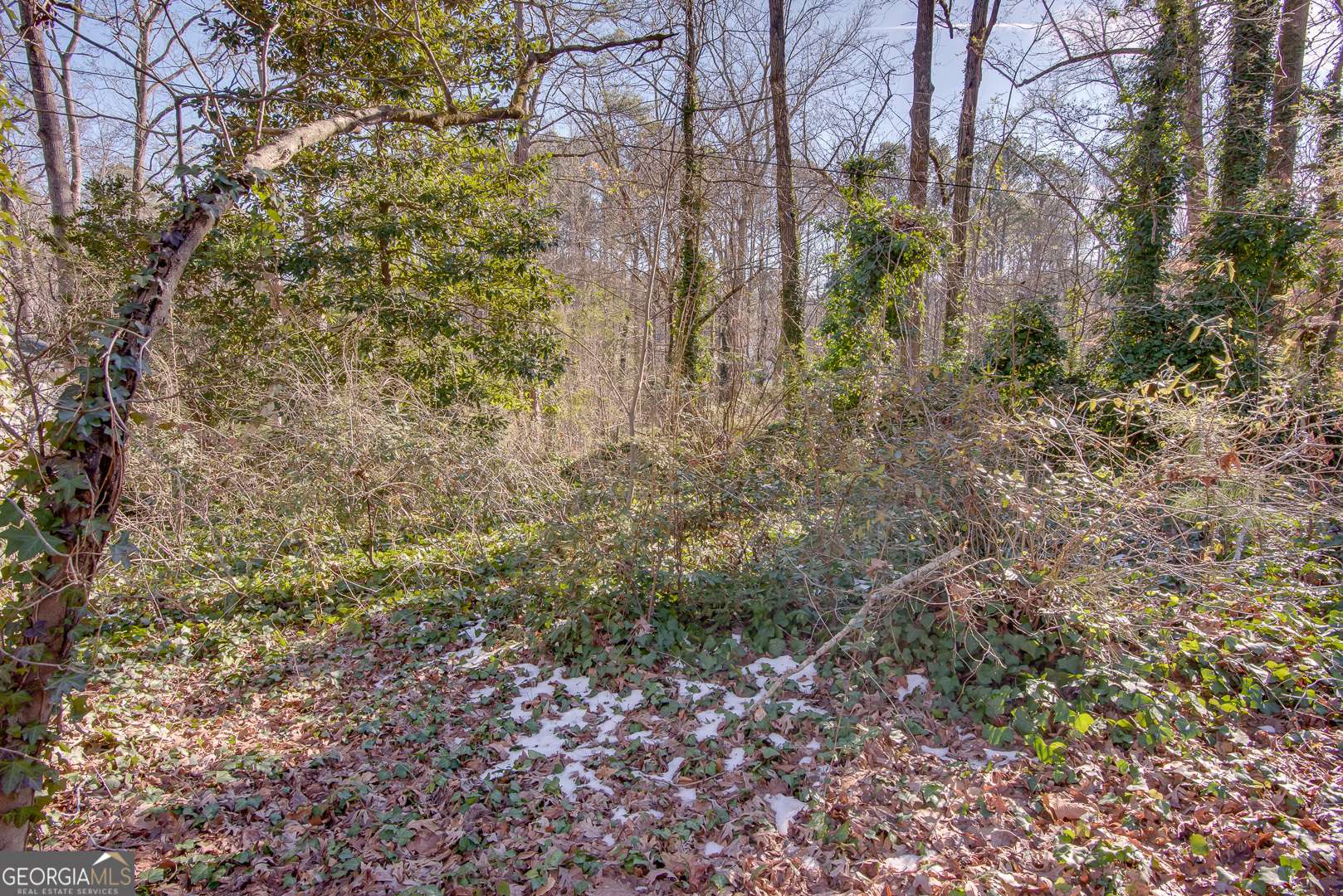 Pine Lake, GA 30072,605 Spruce DR