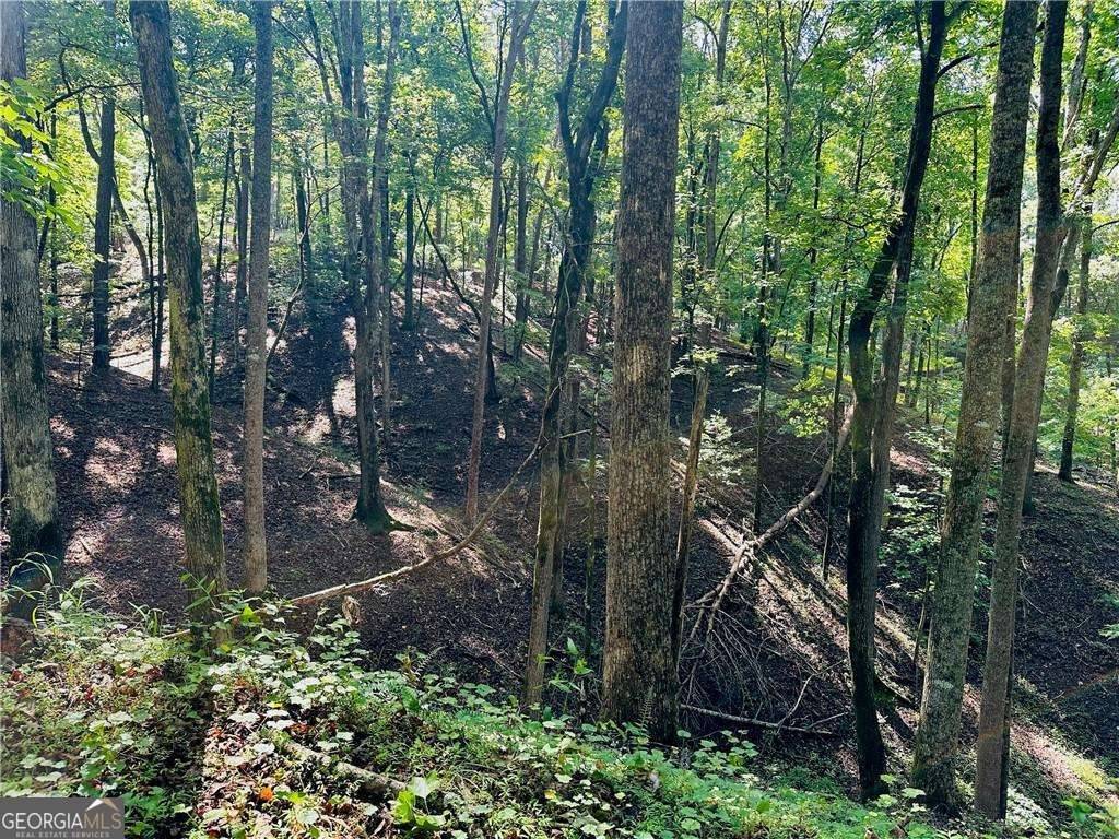 7.123 Acres Halls Mill RD, Dahlonega, GA 30533