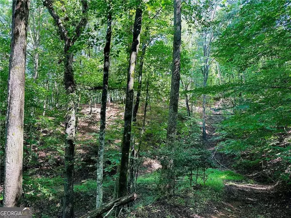 Dahlonega, GA 30533,7.123 Acres Halls Mill RD