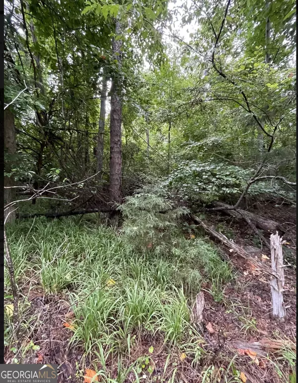 LOT 51 Alpine, Lavonia, GA 30553