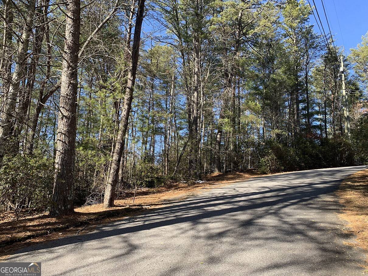 Sautee Nacoochee, GA 30571,0 Pinecrest RD