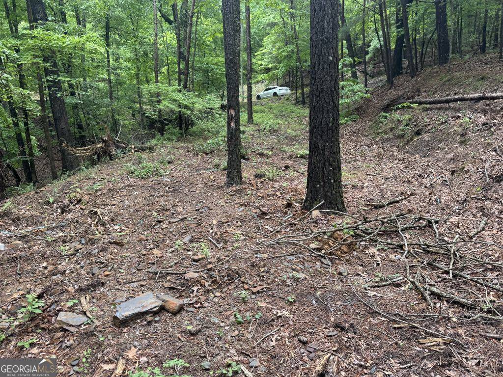 Ranger, GA 30734,543 Parable CT