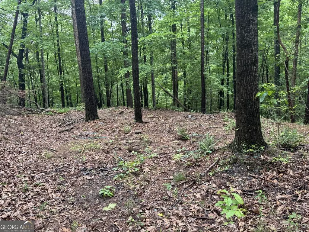 Ranger, GA 30734,543 Parable CT