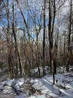 Jasper, GA 30143,18N Bear Paw RD