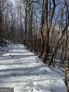 Jasper, GA 30143,18N Bear Paw RD