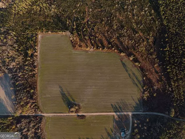 Alma, GA 31510,0 Chesapeake RD #(LOT 6)