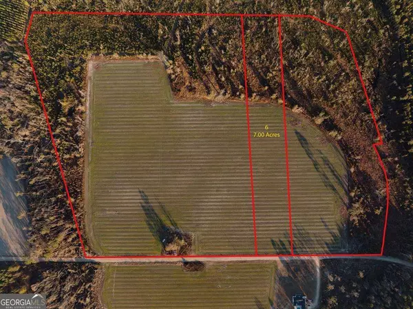 0 Chesapeake Rd (Lot 6), Alma, GA 31510