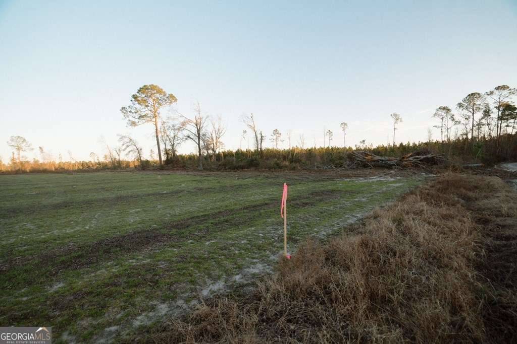 Alma, GA 31510,0 Chesapeake Rd (Lot 8)