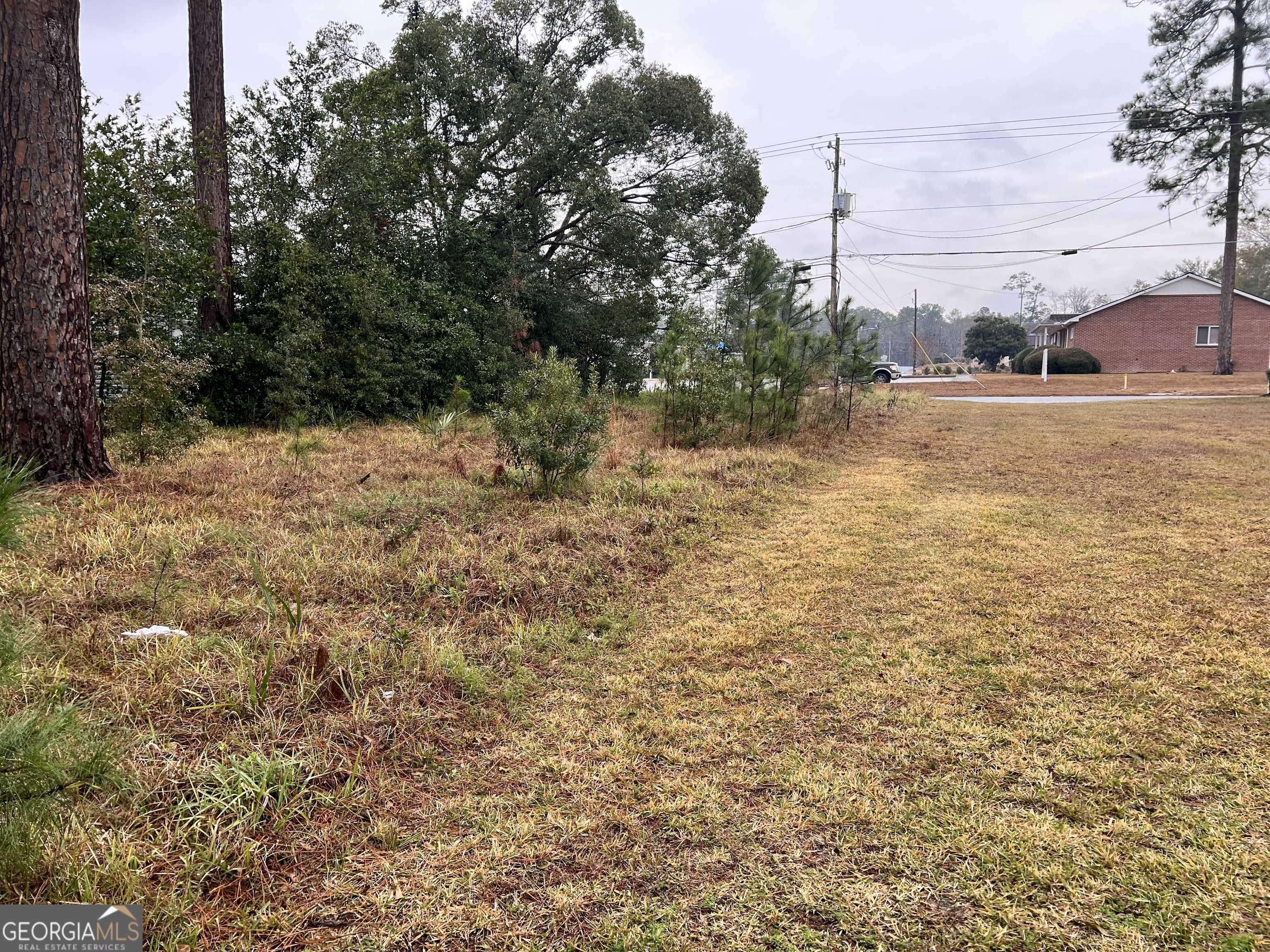 Waycross, GA 31501,.22 ACRES Alice ST