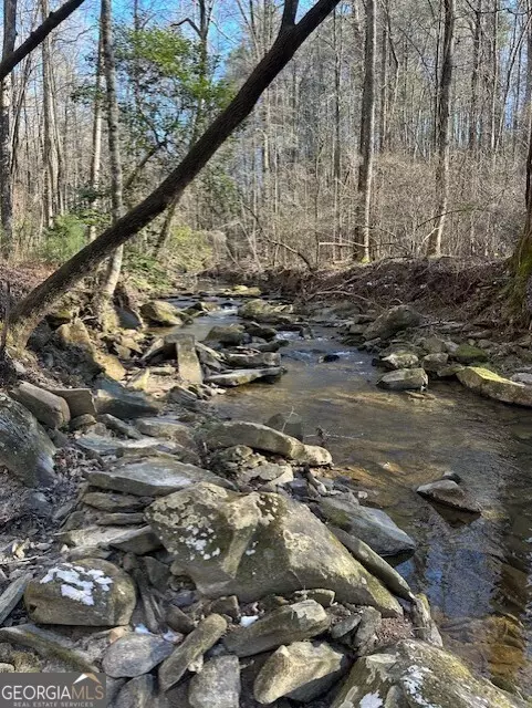 Ellijay, GA 30536,0 Clear Creek Preserve Way- 4.55 acre lot