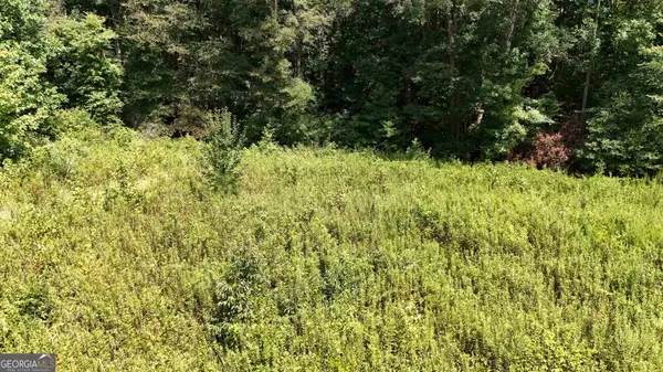 Carrollton, GA 30116,0 Roy Morgan RD