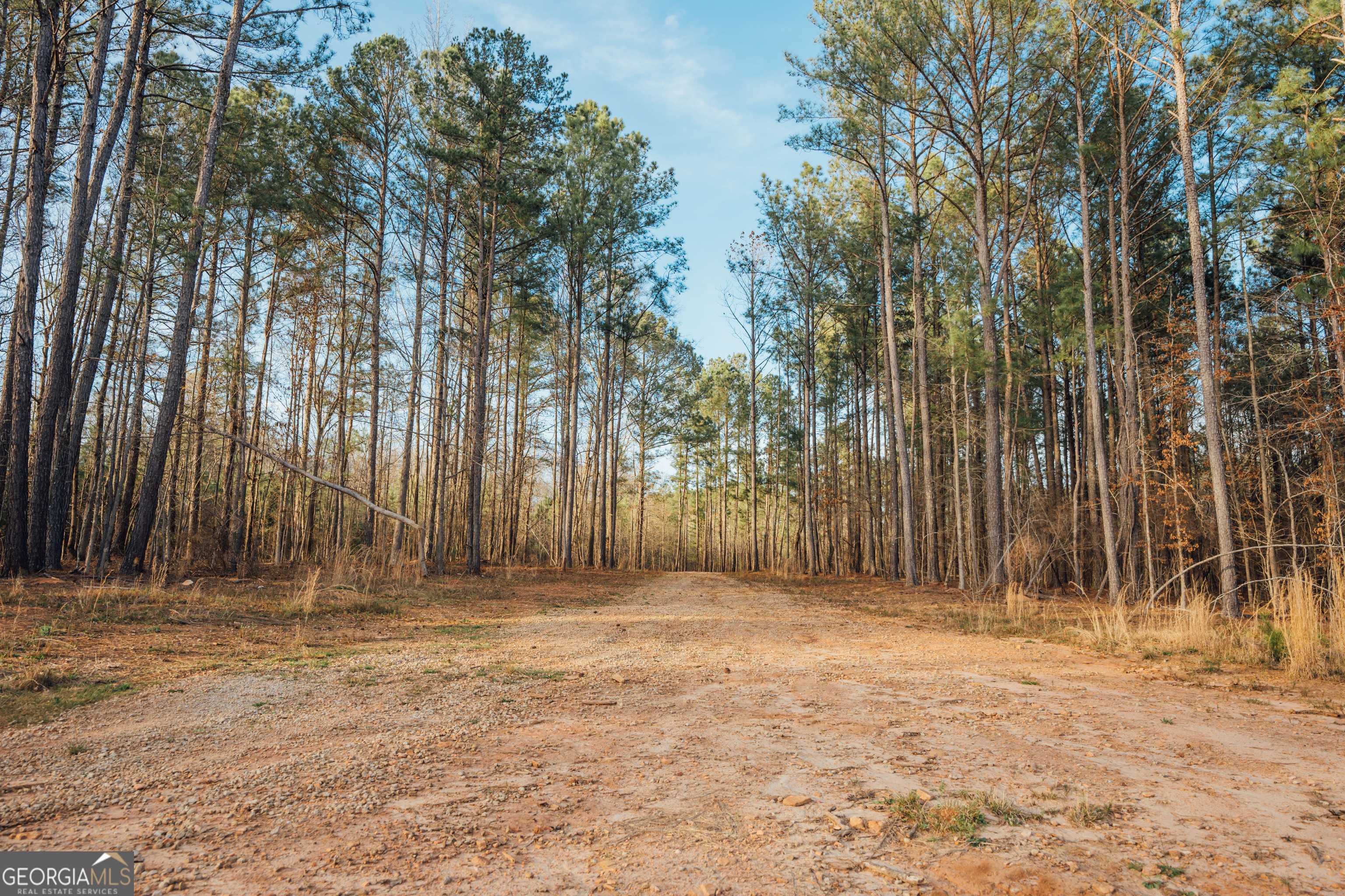 Madison, GA 30650,28.61 ACRES Sandy Creek RD