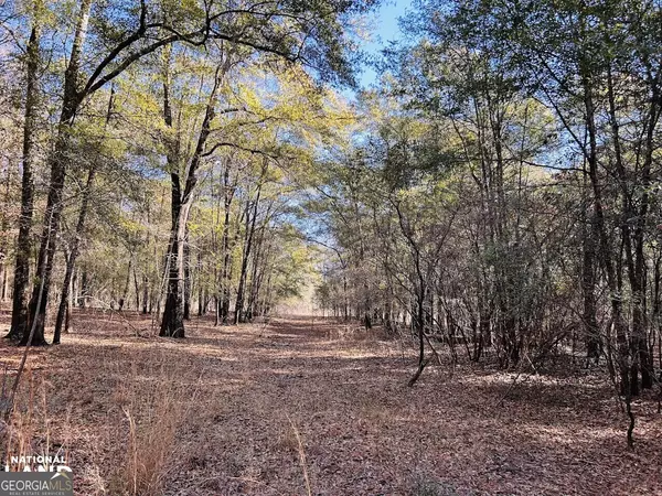 Coleman, GA 39836,0 Harrison Mill RD