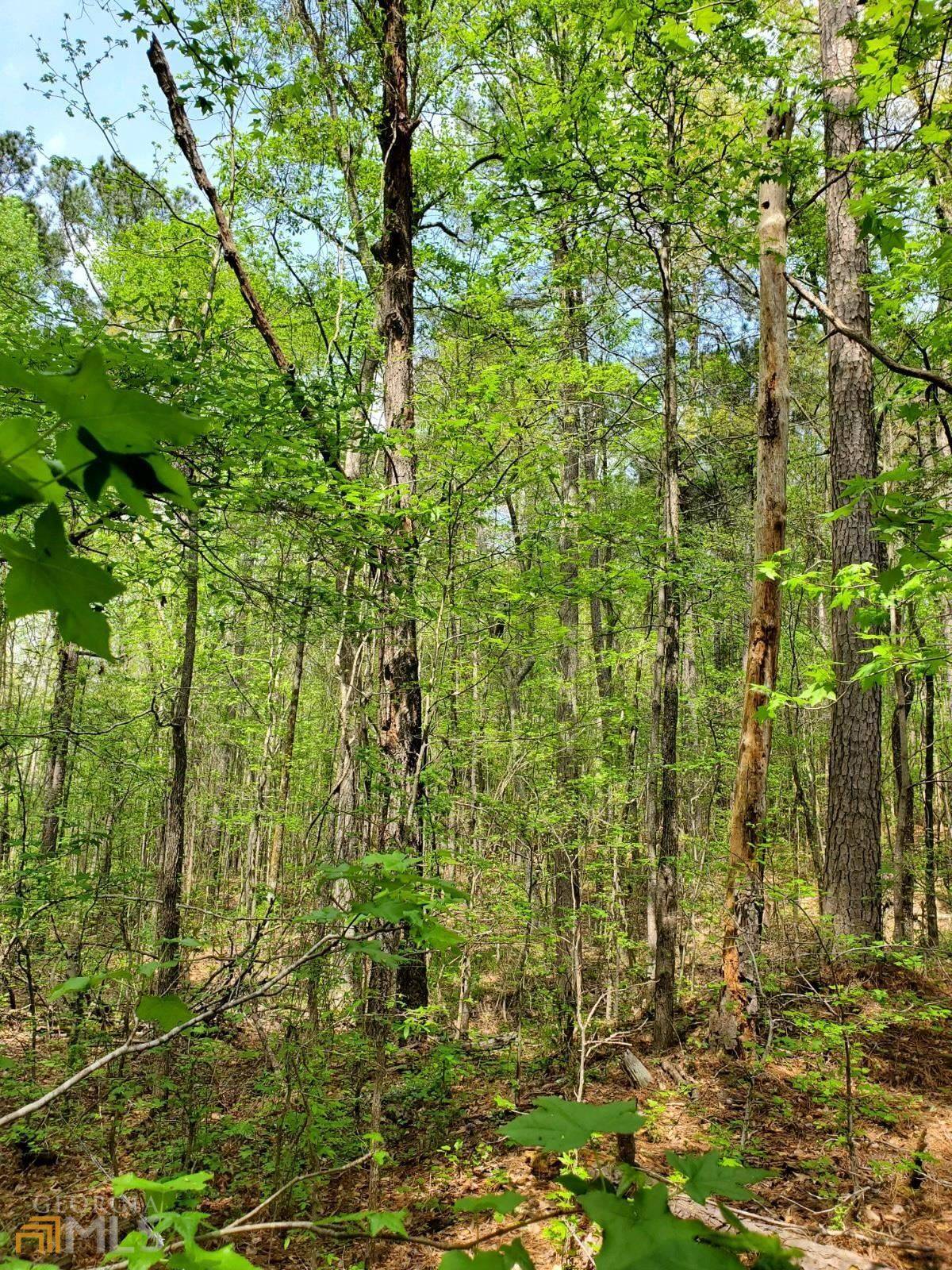 Oxford, GA 30054,0 Old Highway 138 Tract 1