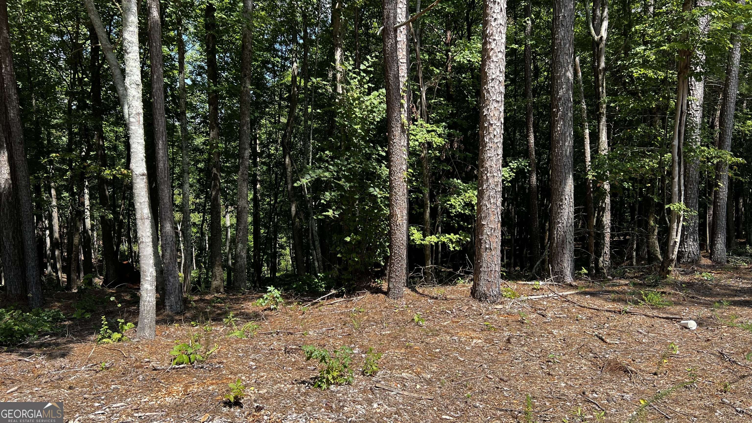 Ellijay, GA 30540,0 Country RD #3
