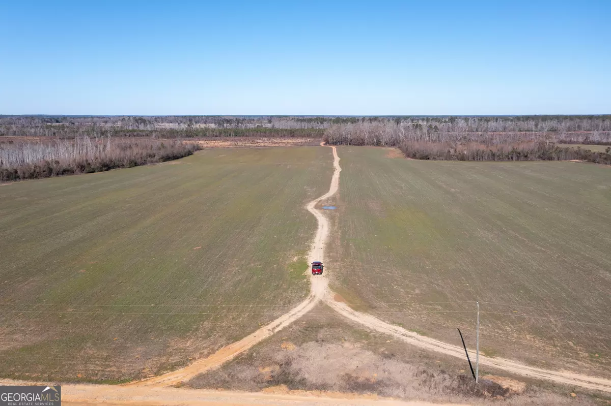 Wadley, GA 30477,10544 S HWY 17