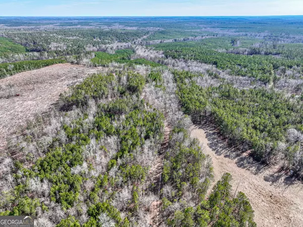 Milledgeville, GA 31061,184 Young RD