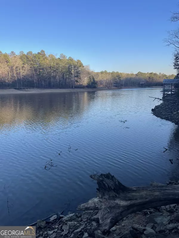 Lineville, AL 36278,TRACT 1 Waters WAY