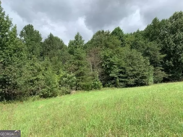 Alto, GA 30510,7322 Tribble Gap Crossroad