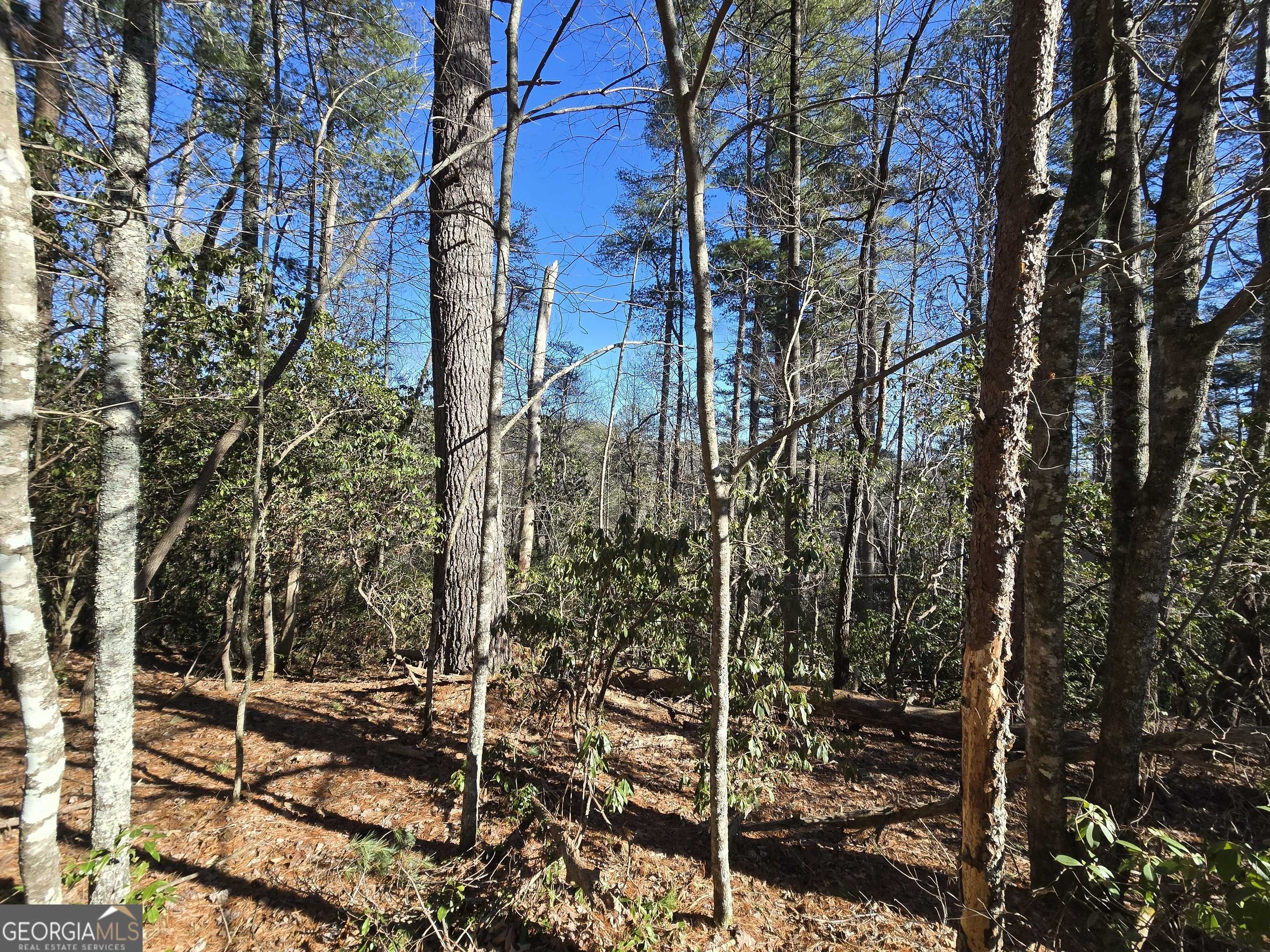 Sautee Nacoochee, GA 30571,45K Blue Ridge
