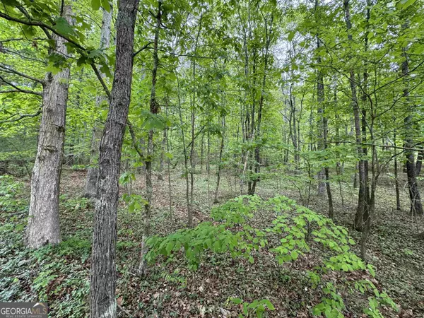 LOT 13 Teel Mountain, Cleveland, GA 30528