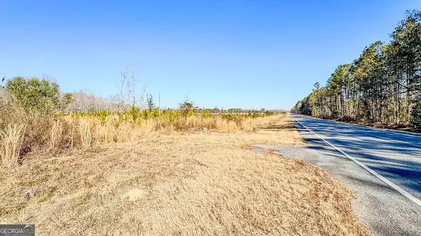 0 Highway 301, Statesboro, GA 30461