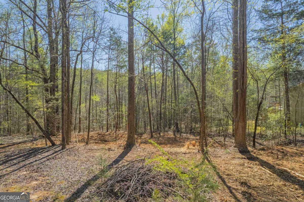 Lavonia, GA 30553,234 Riverbend RD