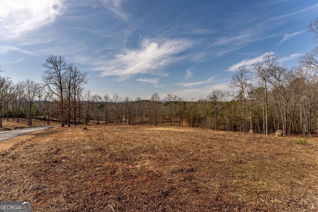 7 Arbor Creek TRL, Mineral Bluff, GA 30559