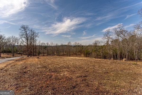 7 Arbor Creek, Mineral Bluff, GA 30559