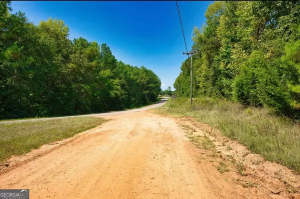 Culloden, GA 31016,TRACT1 US Highway 341 N