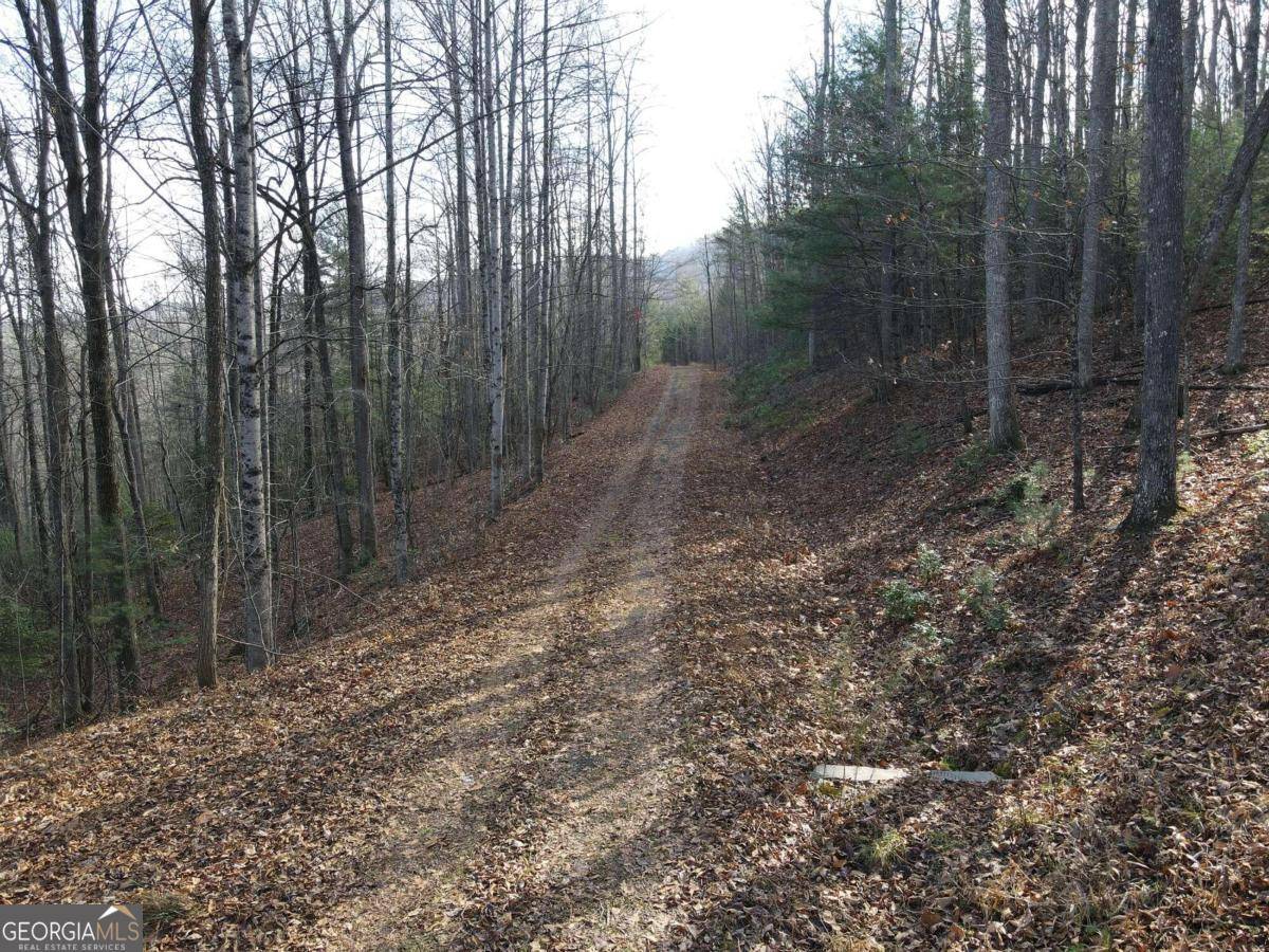 Blairsville, GA 30512,LOT 20 Settlers CV