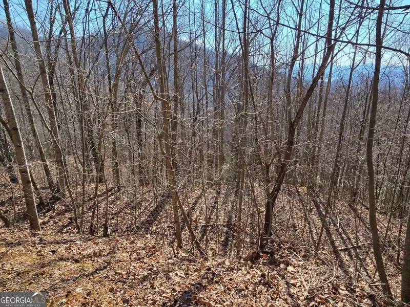 LOT 11 High MDWS #11, Hayesville, NC 28904