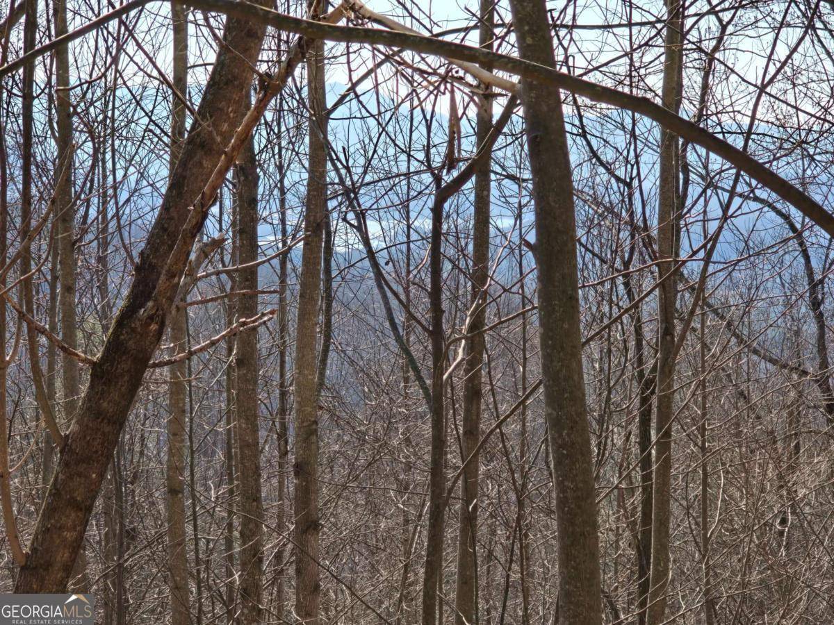 Hayesville, NC 28904,LOT 11 High MDWS #11