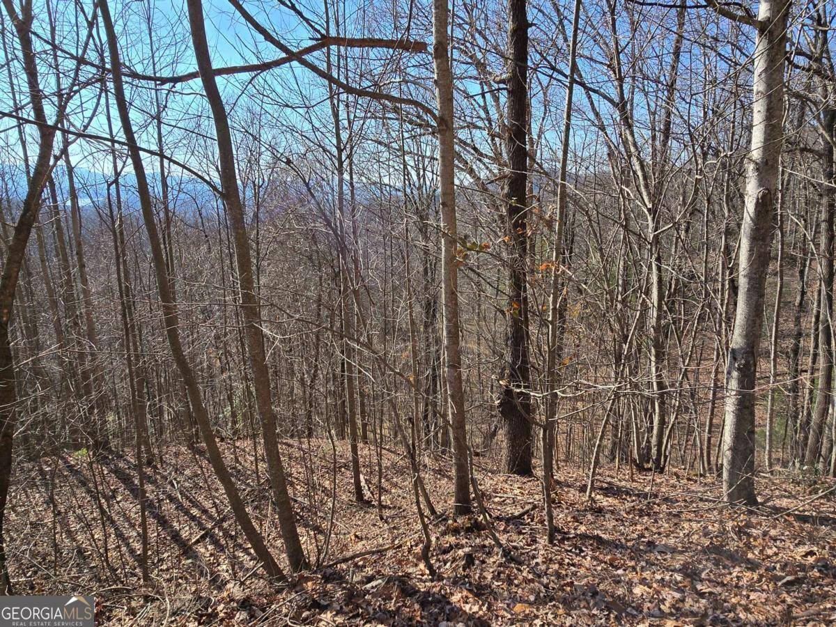 Hayesville, NC 28904,LOT 11 High MDWS #11