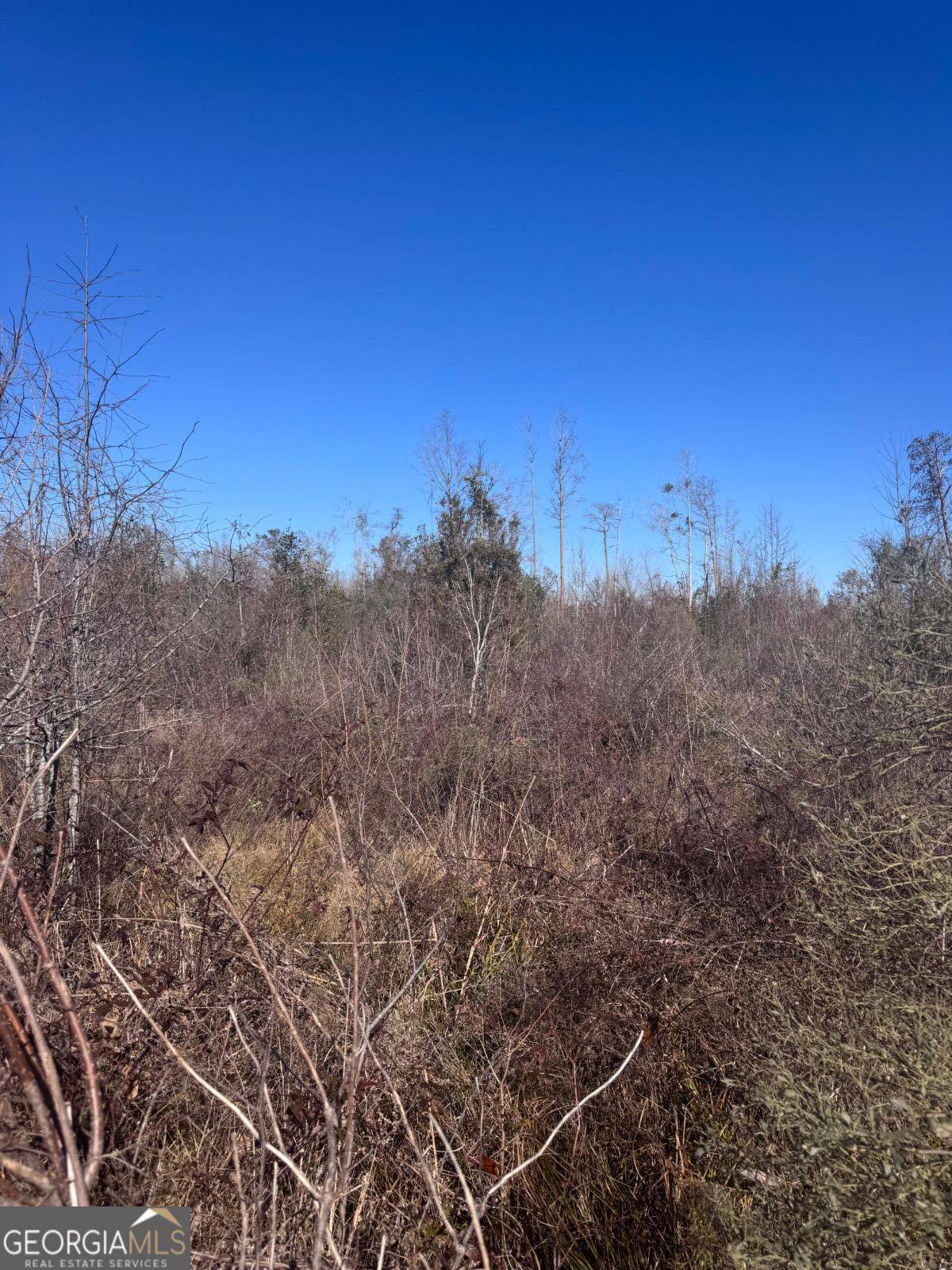 Hazlehurst, GA 31539,215 Spell RD