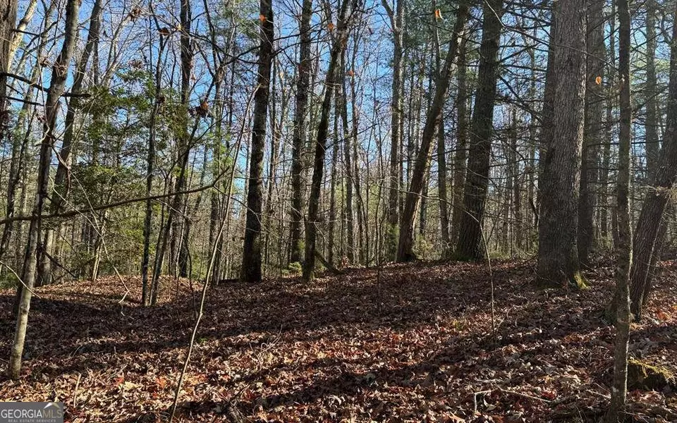 0 Mill Creek Acres, Blue Ridge, GA 30513