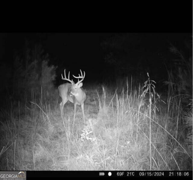 Gay, GA 30218,0 Oakland RD