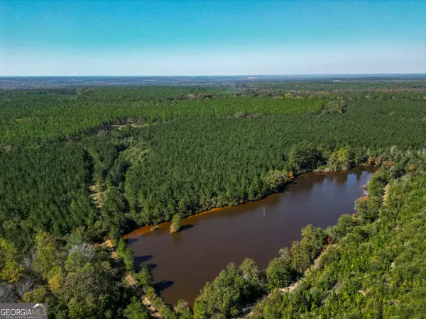 652 ACRES Ga Hwy 45, Americus, GA 31719