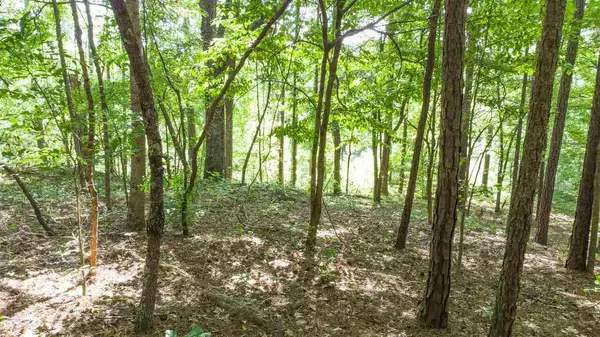 Newnan, GA 30263,0 Buckeye Ridge #LOT 85