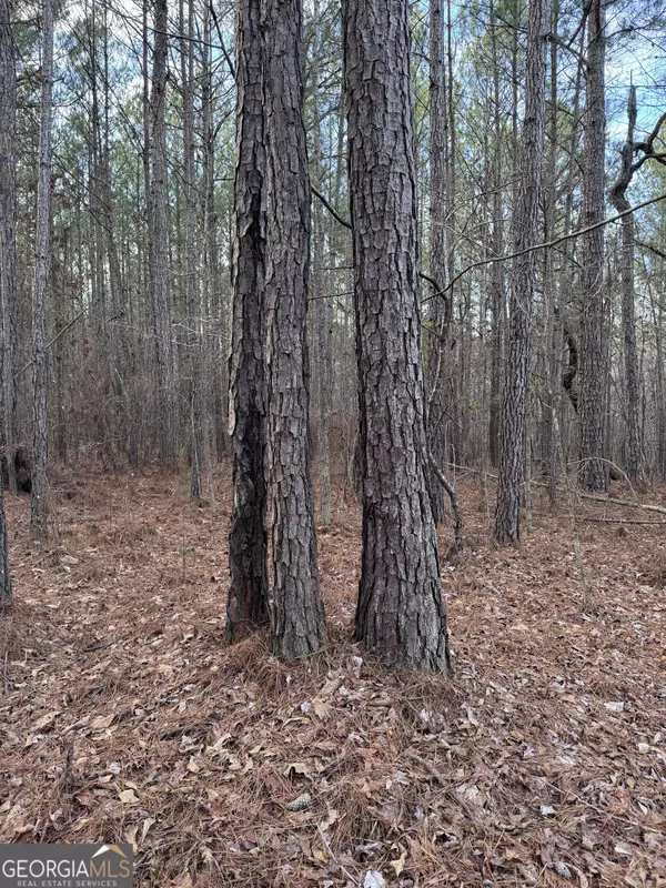 Woodbury, GA 30293,0 Harmony Church RD #20.43 ACRES