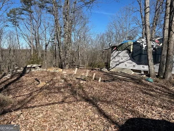 Royston, GA 30662,2695 Wildcat Bridge RD