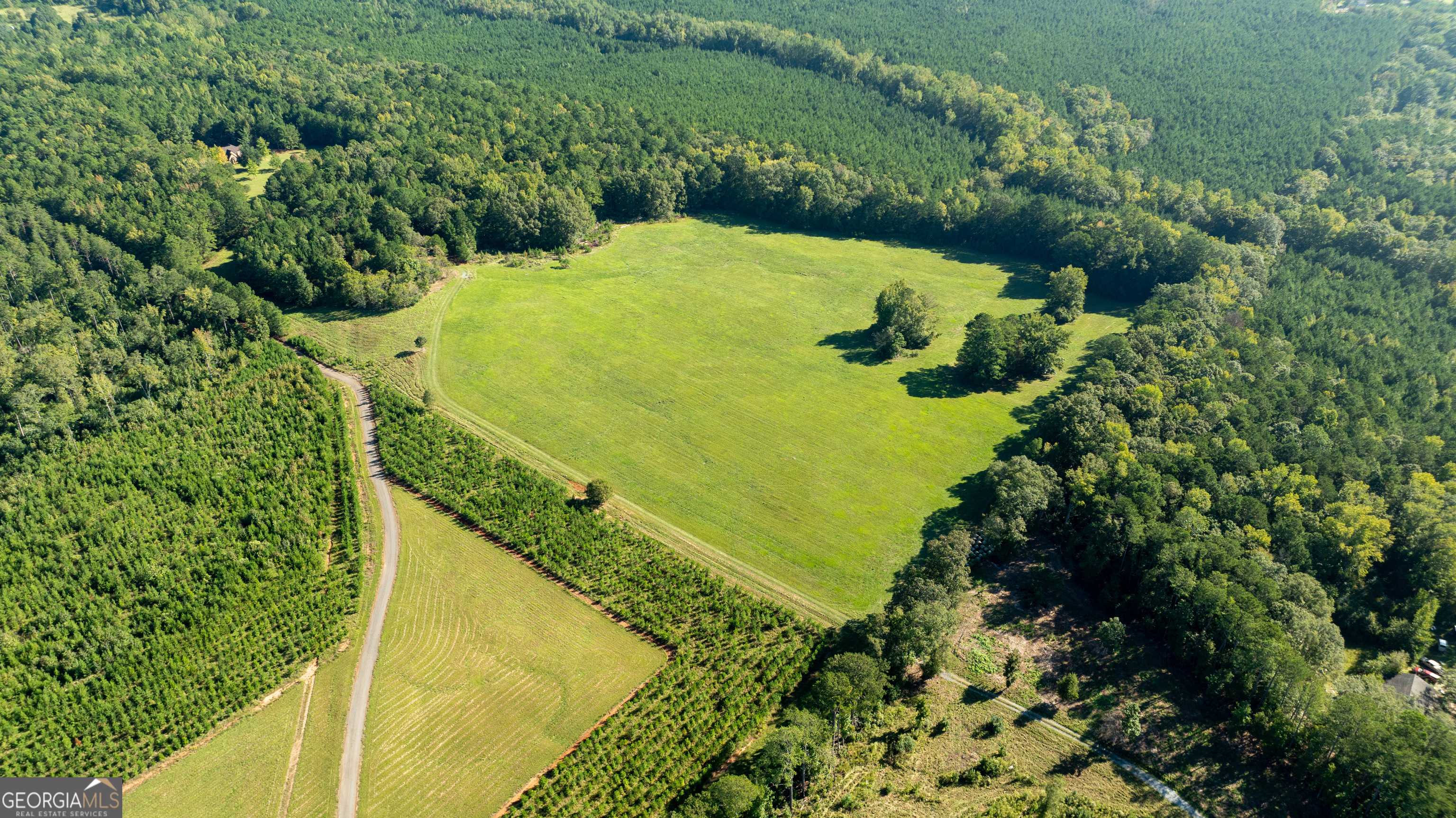 Shiloh, GA 31826,0 Kings Gap RD