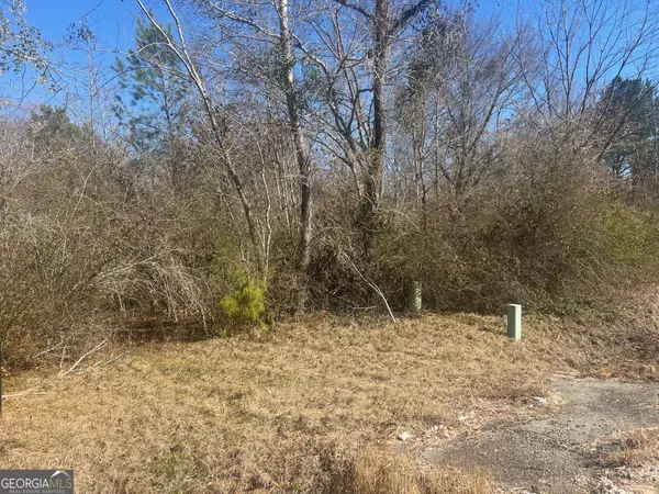 Midville, GA 30441,460 W Lee ST