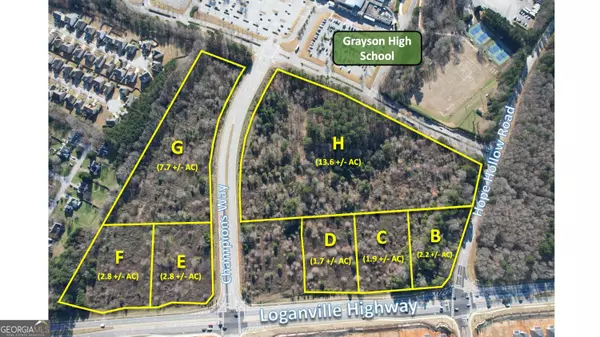Loganville, GA 30052,0 Loganville Highway #LOT 2 (5.8 AC)