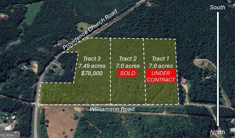 Tallapoosa, GA 30176,TRACT 3 Williamson Road