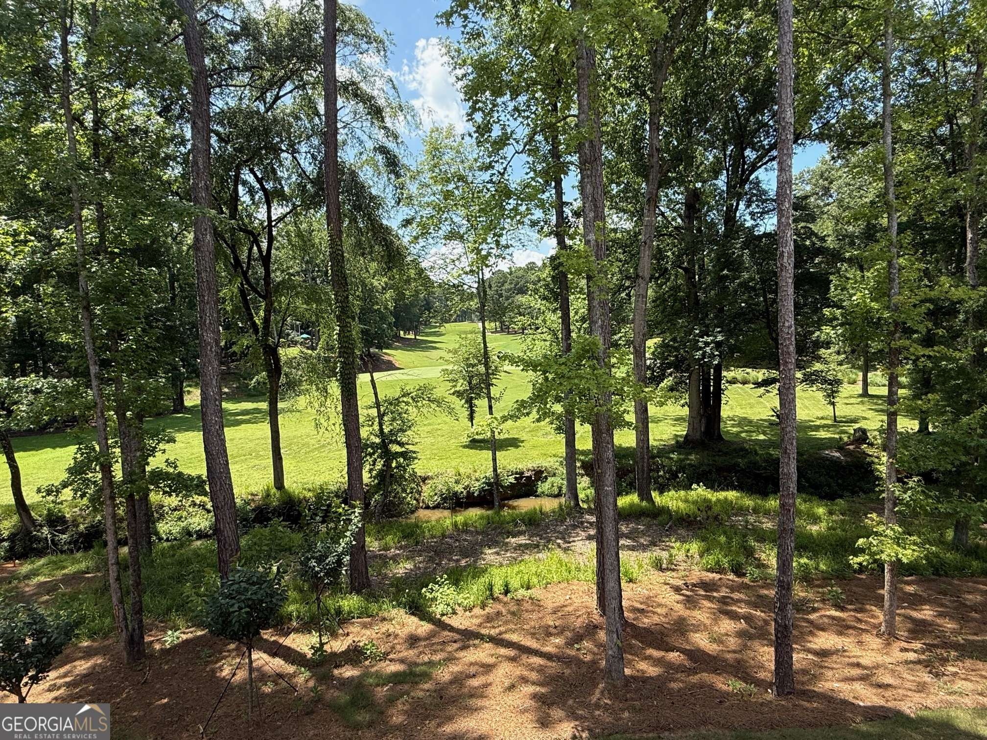 Greensboro, GA 30642,1091 Pinehurst DR