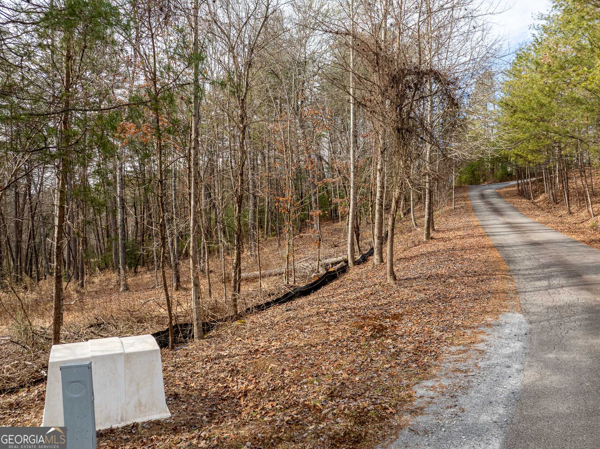 Mineral Bluff, GA 30559,LOT 11 Hawks Ridge DR